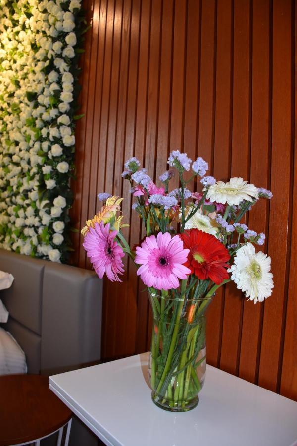 Hotel Ergi's 4*